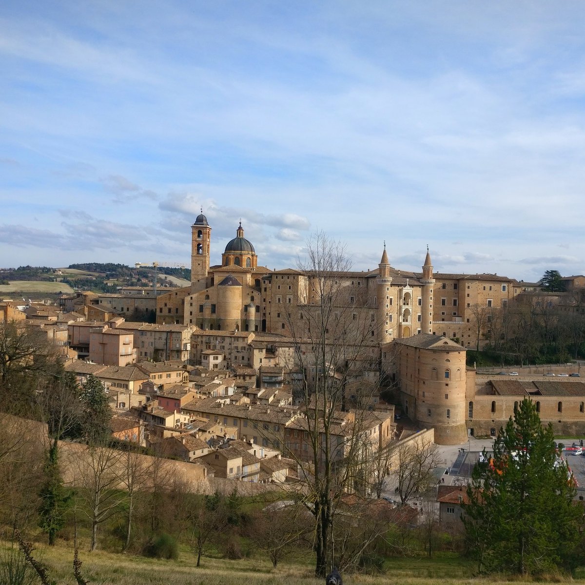 Italophilia's tweet photo. Seeing the town of Urbino from the other side of the cliff = mind blowing!!  #destinazionemarche #Italy https://t.co/HrkpmJRsyn