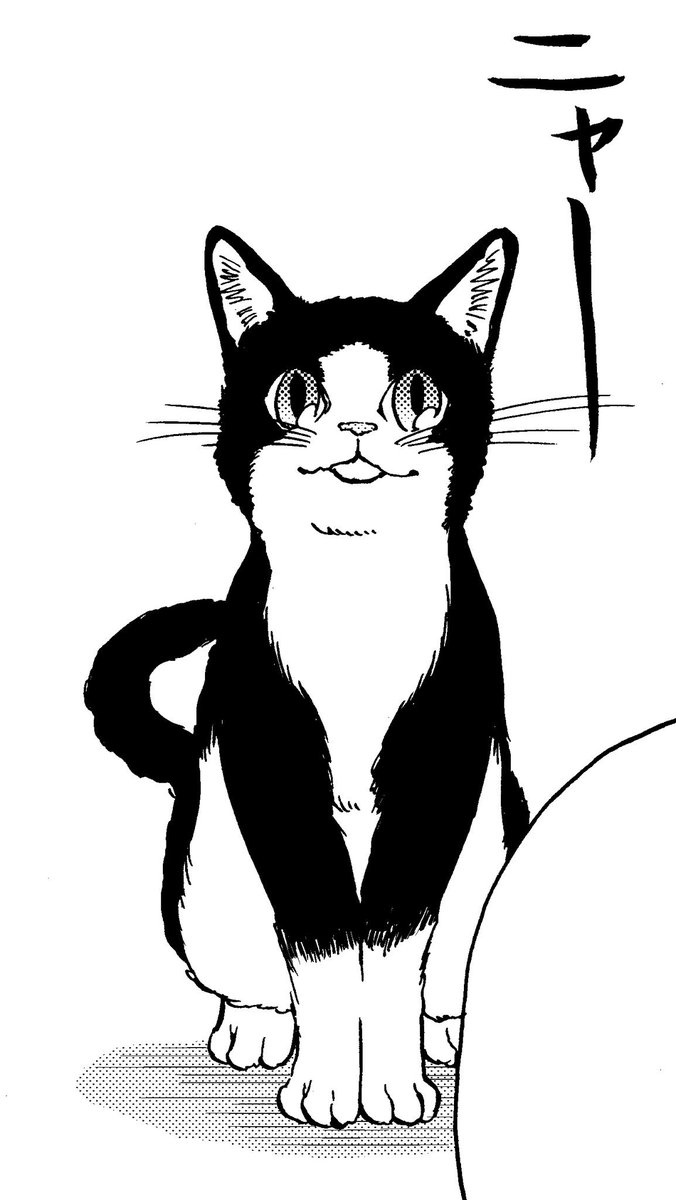 今日は猫の日(2/22)だった!
今回の7話にも計らずも猫が出てます。
タイミングいいな!(笑)

ネコ描くの楽しかったー🐈

再度の宣伝失礼します。
ご飯と猫と銭湯「ゆとのと」よろしくお願いします♨️
https://t.co/qT22HlpdGc

#LINEマンガ #ゆとのと #銭湯 #ねこの日 #猫の日 #ネコの日 