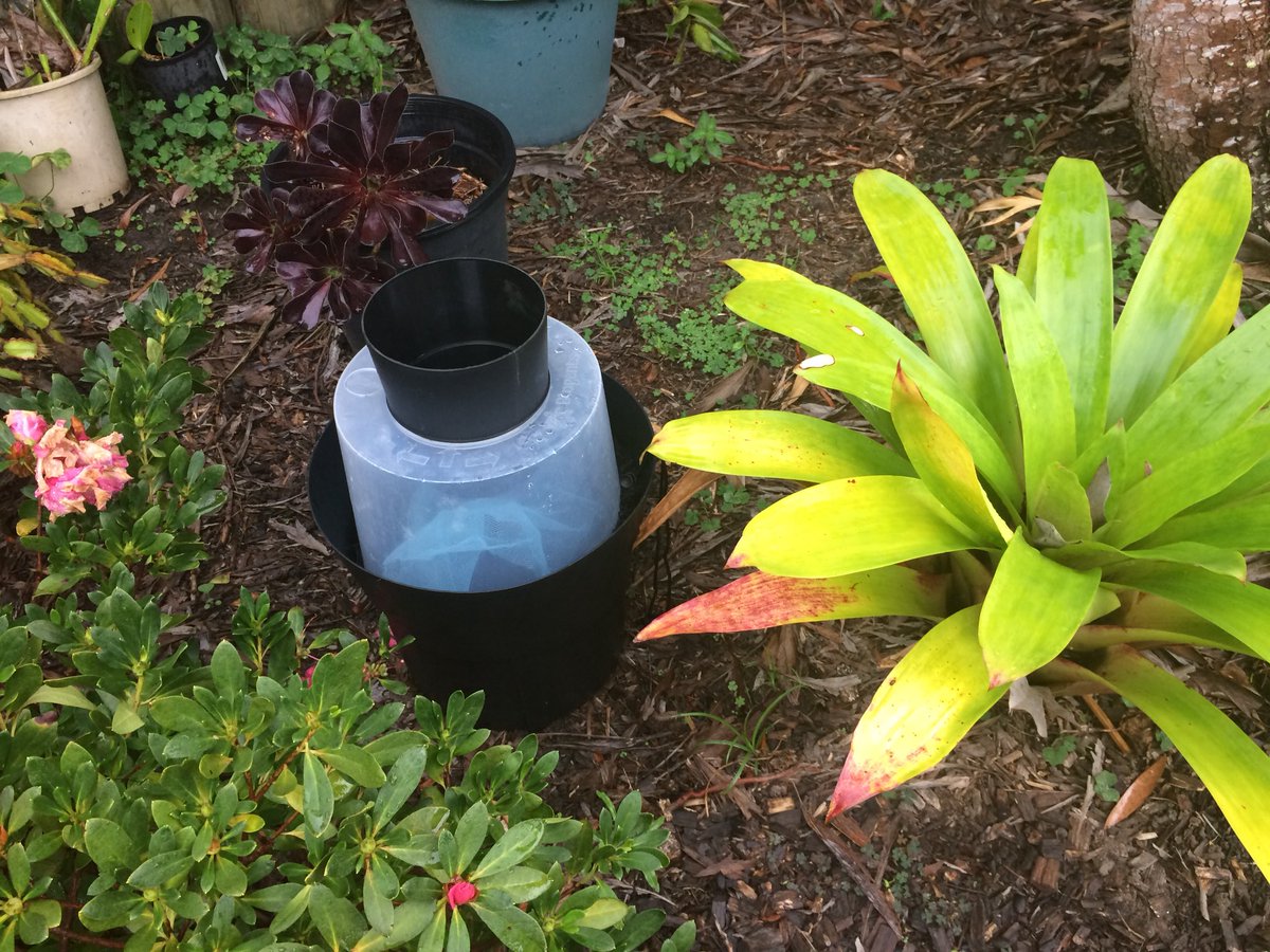 Mozziebites's tweet photo. @TweedCouncil @NSWHPathology Over 100 mosquito traps set in backyards Tweed Heads by @TweedCouncil staff and @NSWHPathology scientists to build community engagement and capacity among local authorities to track current (and future) mozzie threats! #publichealth #citizenscience https://t.co/WC0WaBsBKa