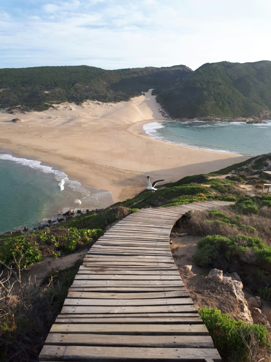 Plett_Tourism's tweet photo. Beautiful #Plett...Can you tell us where this magnificent photo was taken? 
#gardenroute #wowsouthafrica
📸 Maxine Brett https://t.co/UcBNjWOj3d