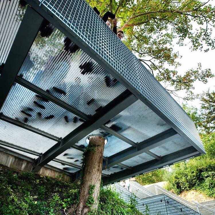 dropofmilk's tweet photo. #TBT to #milkstructures project @BradfieldCol with @StudioOctopi &amp; the beautiful #cantilevered deck that made room for a #tree at their #Greeker style #theatre...🌳
.
.
#structuralengineering #amphitheatre #cantilevereddeck #strongstructure https://t.co/FpD6VTVrMA