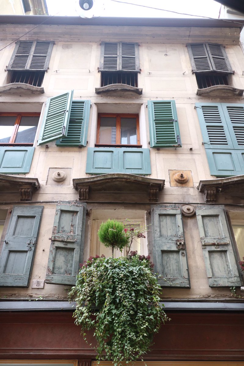 chiara carolei tweet media