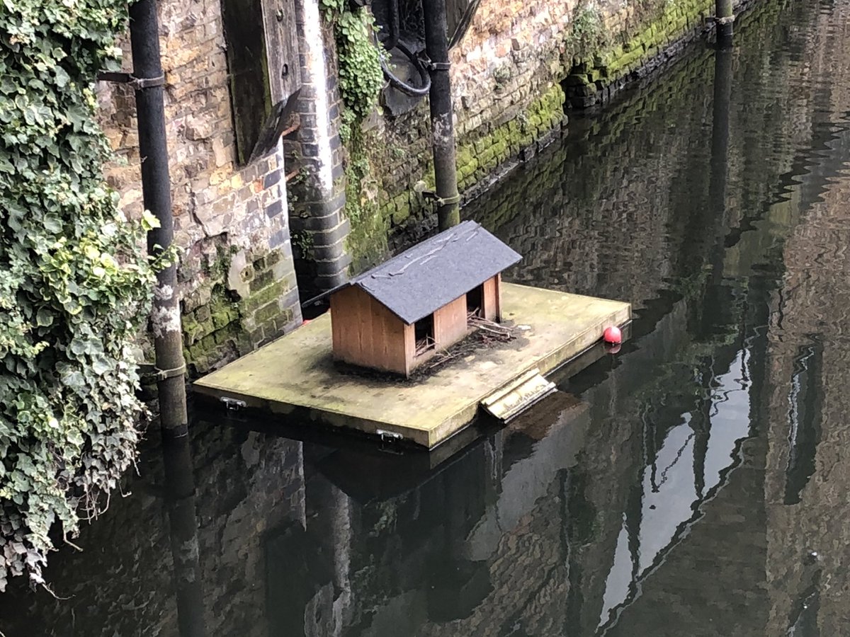 TomBoston's tweet photo. Property to rent in central London. Dockside views. Zone 1. £1500 PCM. Borrowers only. No pets. #LondonLife https://t.co/xjwzSqPNd4