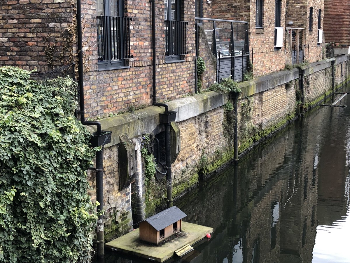 TomBoston's tweet photo. Property to rent in central London. Dockside views. Zone 1. £1500 PCM. Borrowers only. No pets. #LondonLife https://t.co/xjwzSqPNd4