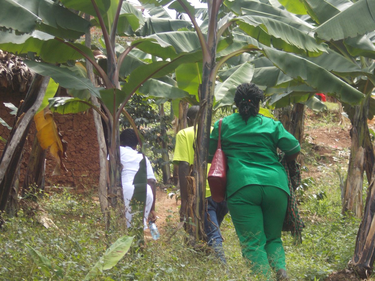 INPACT_UG's tweet photo. Enjoyed our time with coffee farmers https://t.co/FQP0PZIrOA