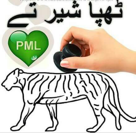 usmanabbasiz's tweet image. #DisqualificationRejected