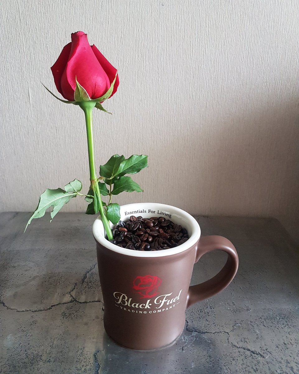 @blackfuel COFFEE & ROSE
#EssentialsForLiving