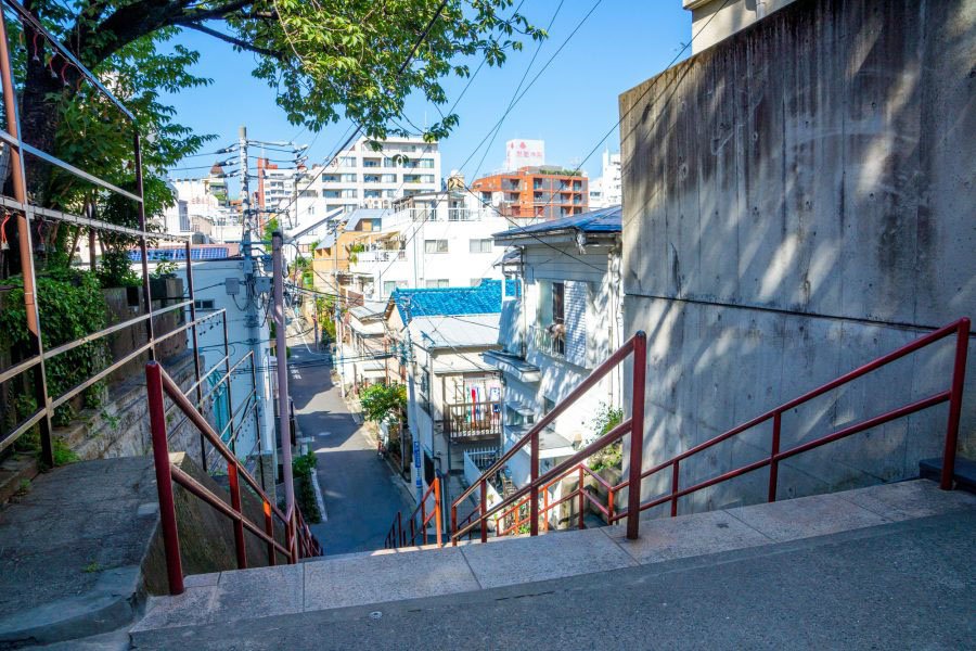 Topographically, Tokyo as a city has been built on every natural feature available: from wooden poles on swampy river banks to valleys to hills to cliffs and plateaus and steep slopes. The variation in elevation across the metropolis is minute and astounding.