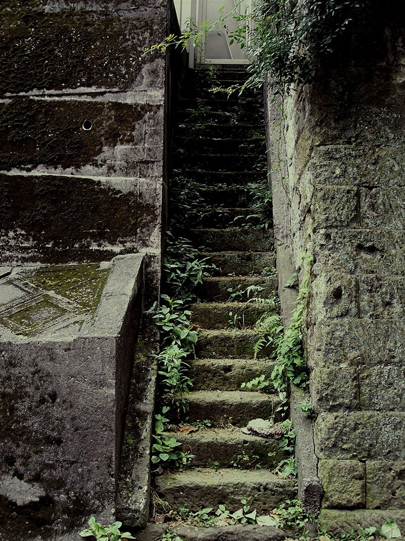 We can see just how well stairs work as an urban topology: hundreds of stairs once laid down centuries ago, are still in daily use, and in the most developed areas imaginable.