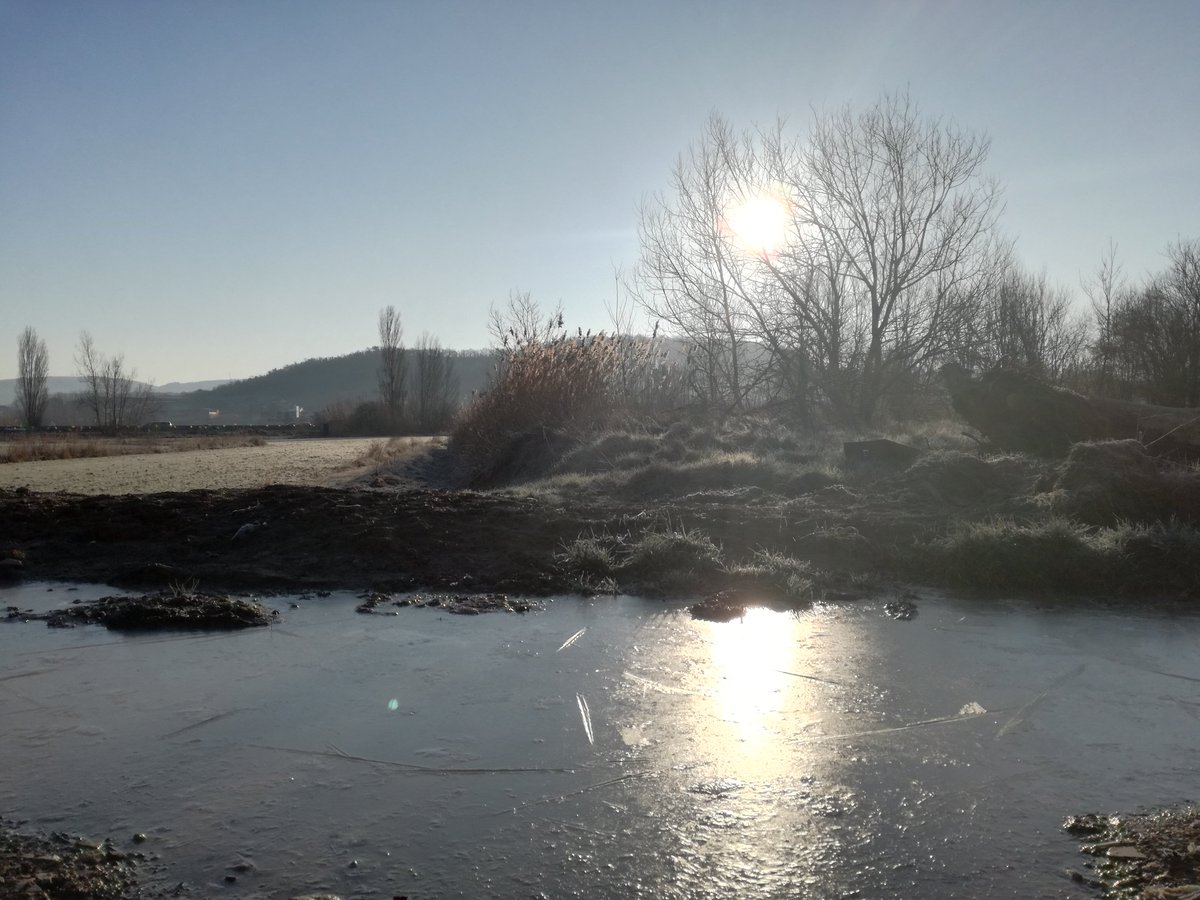 paquisoldado's tweet photo. #Boondia desde #Tona a dos quarts de deu T. -2°C. #dijous #glaçat amb #celras ni tan sols un trist #núvol @MeteoMoia @SoniaPapell @nestor_meteo @javioru @ARAmeteo @AlfredRPico @meteocat #324eltemps @esolerdelcoll @SoldadoTonyi https://t.co/ZasLPm17t1