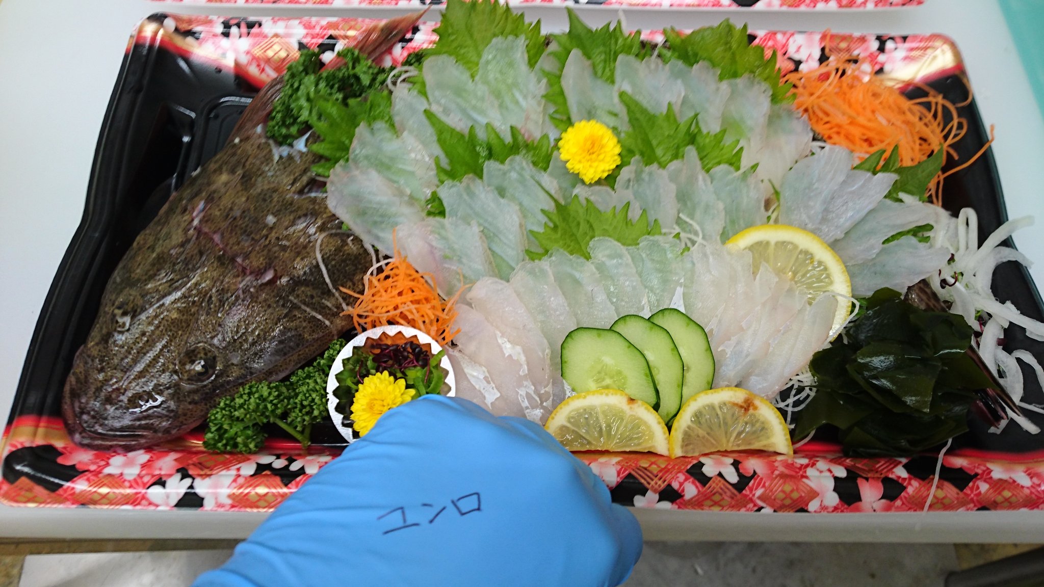 ユンロとお魚 ユンロ プロの所で コチ の姿造り造らせて貰いました コチの捌き方はプロにお願いして 動画にさせて貰ったので 近々youtubeにアップします 是非 お楽しみに コチ 姿造り 刺身