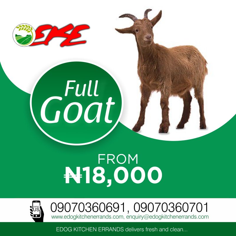 edogkitchen's tweet photo. @gtbank Now selling on Edog Kitchen Errands Full Goat meat from N18,000 only. Delivery option available.

SHOP NOW>>> https://t.co/Ny0ZPOr1wg
CALL US TO ORDER>>> 09070360691, 0907036070
WhatsApp Us: https://t.co/tDl8EWCw01

#EDOGKITCHEN, #SHIKINIMONEY #EDOGFRESHFOODS https://t.co/LBs4Kf6Tn0