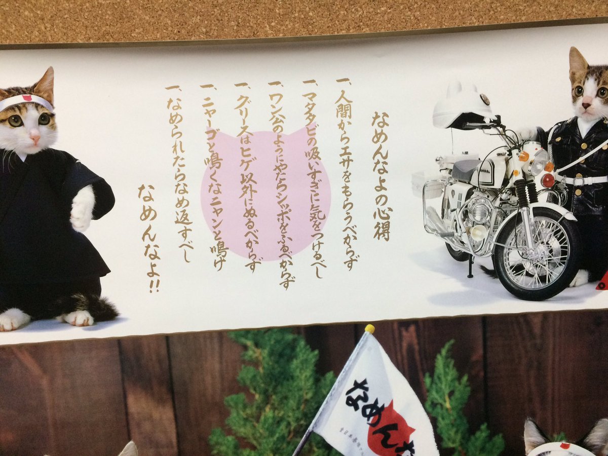 なめんなよ、パネル、猫、昭和レトロ なめ猫 なめんなよ パネル 当時のもの
