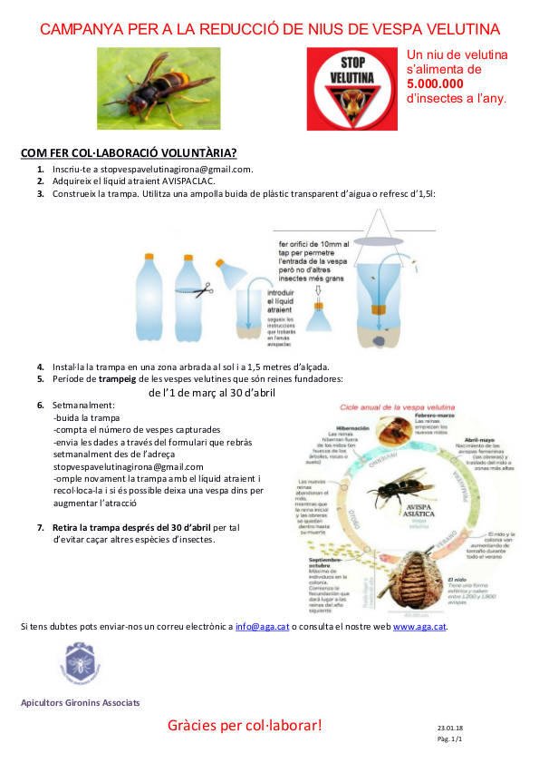 Campanya per a la reducció de nius de Vespa Velutina. Participa, instruccions al document adjunt!