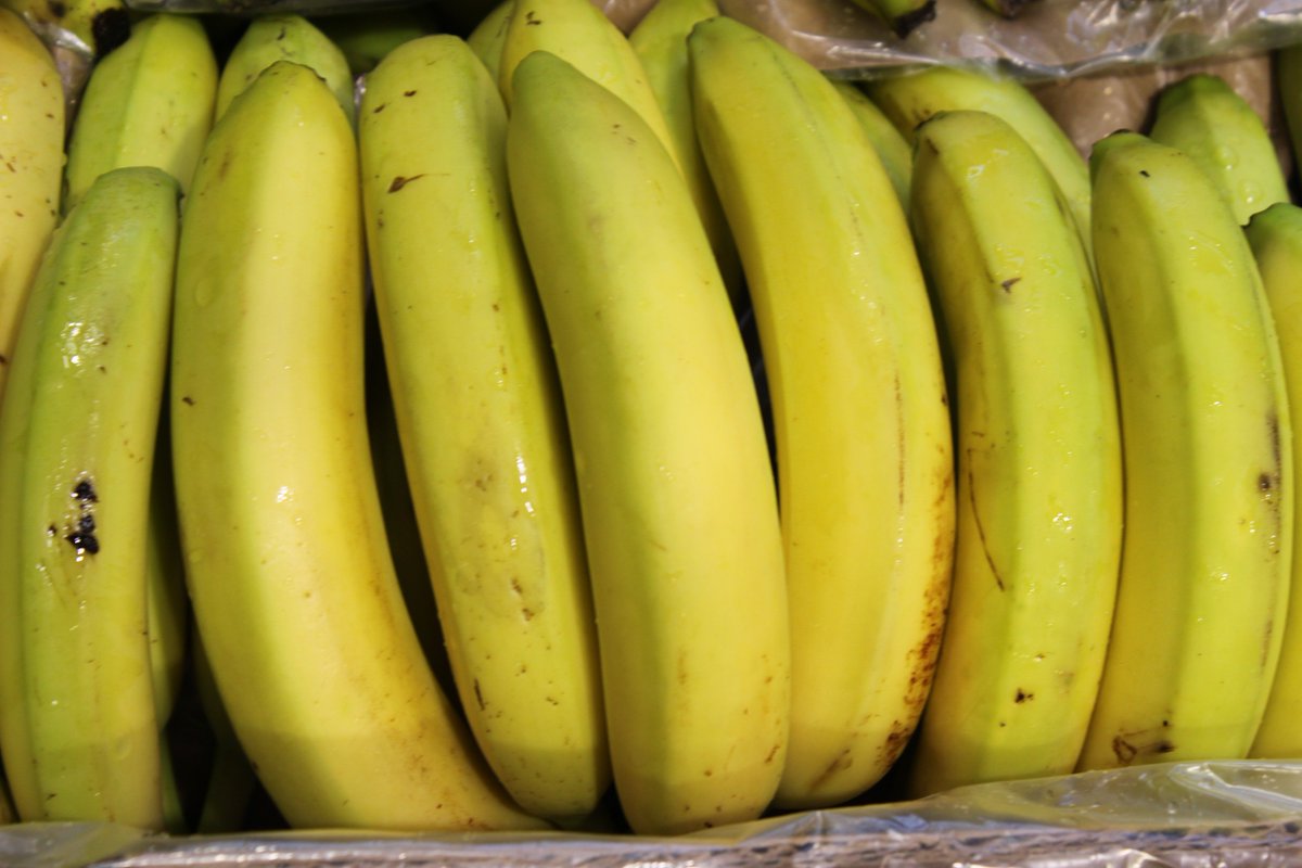 Agem_majoristes's tweet photo. #MercadoEnFebrero
Os deseamos un #felizjueves con esta selección de colores que nos trae el mes de #feberero al #MercadoMayorista de #FrutasyHortalizas de #Mercabarna. https://t.co/tIGyzDgtTr