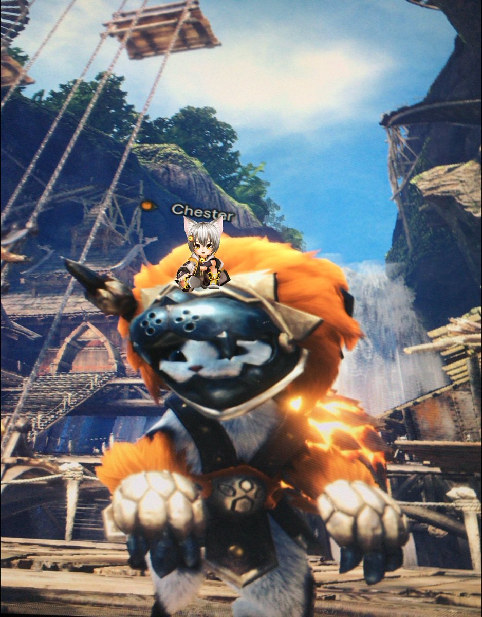 白猫プロジェクトさいかわ猫決定戦18