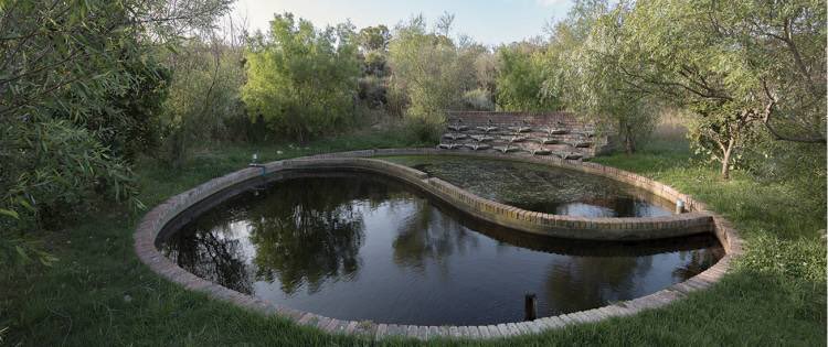 Day zero has been moved up yet again but we must all continue to do our part. Read up about how <a href="/SpierWineFarm/">Spier Wine Farm</a> &amp; <a href="/Jordan_Wines/">Jordan Wine Estate</a> are working to conserve water on their farms. Now up on #Stellenblog stellenboschexperience.co.za/blog/entry/wat… #visitstellenbosch