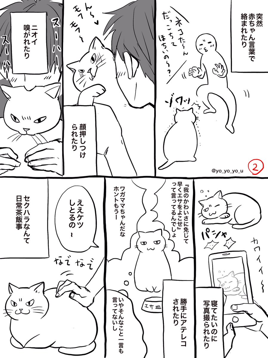 卯月よう ネコホスト連載中 猫の漫画を描きました 猫の日