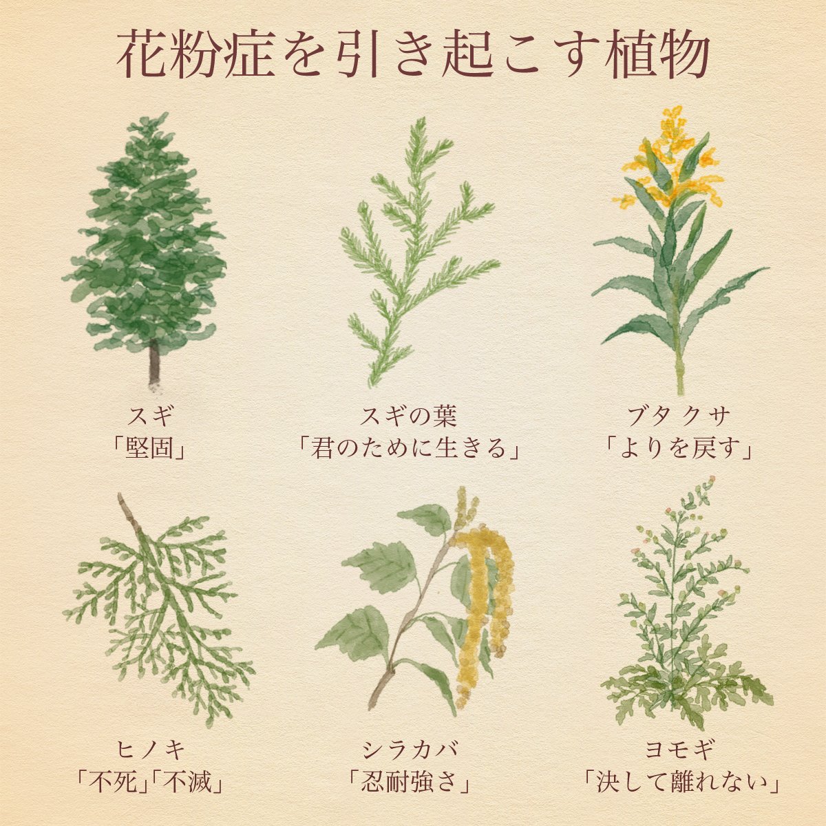 花粉症の原因となる植物の花言葉が重すぎる Twitter