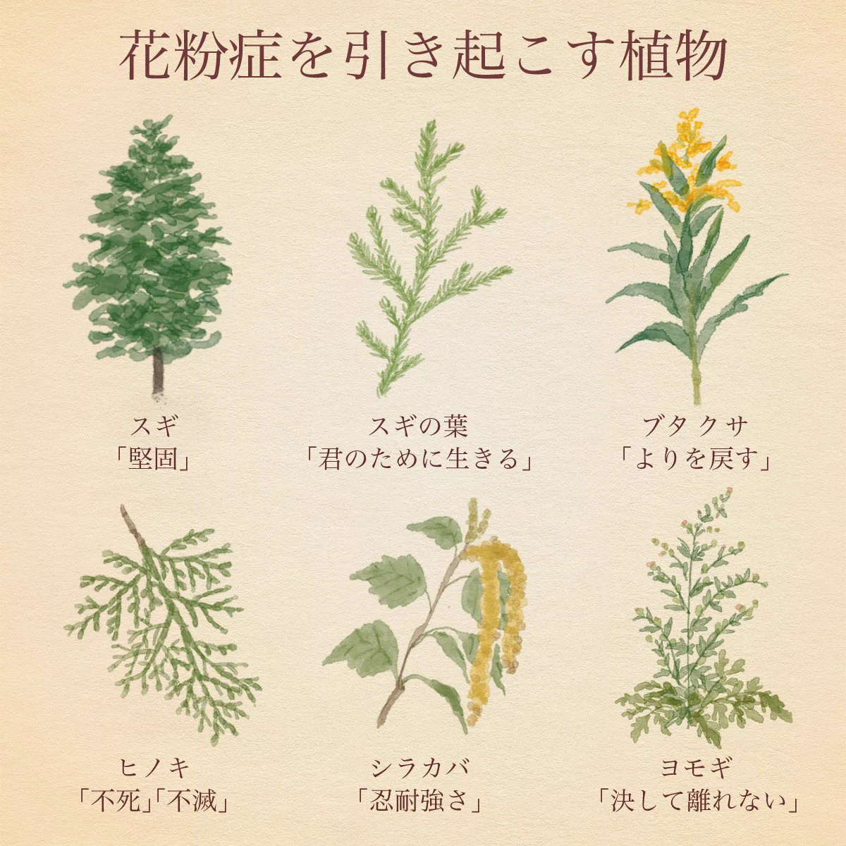 簡単には別れてくれない理由ｗ花粉症を引き起こす植物の花言葉が情熱的過ぎるｗｗｗ