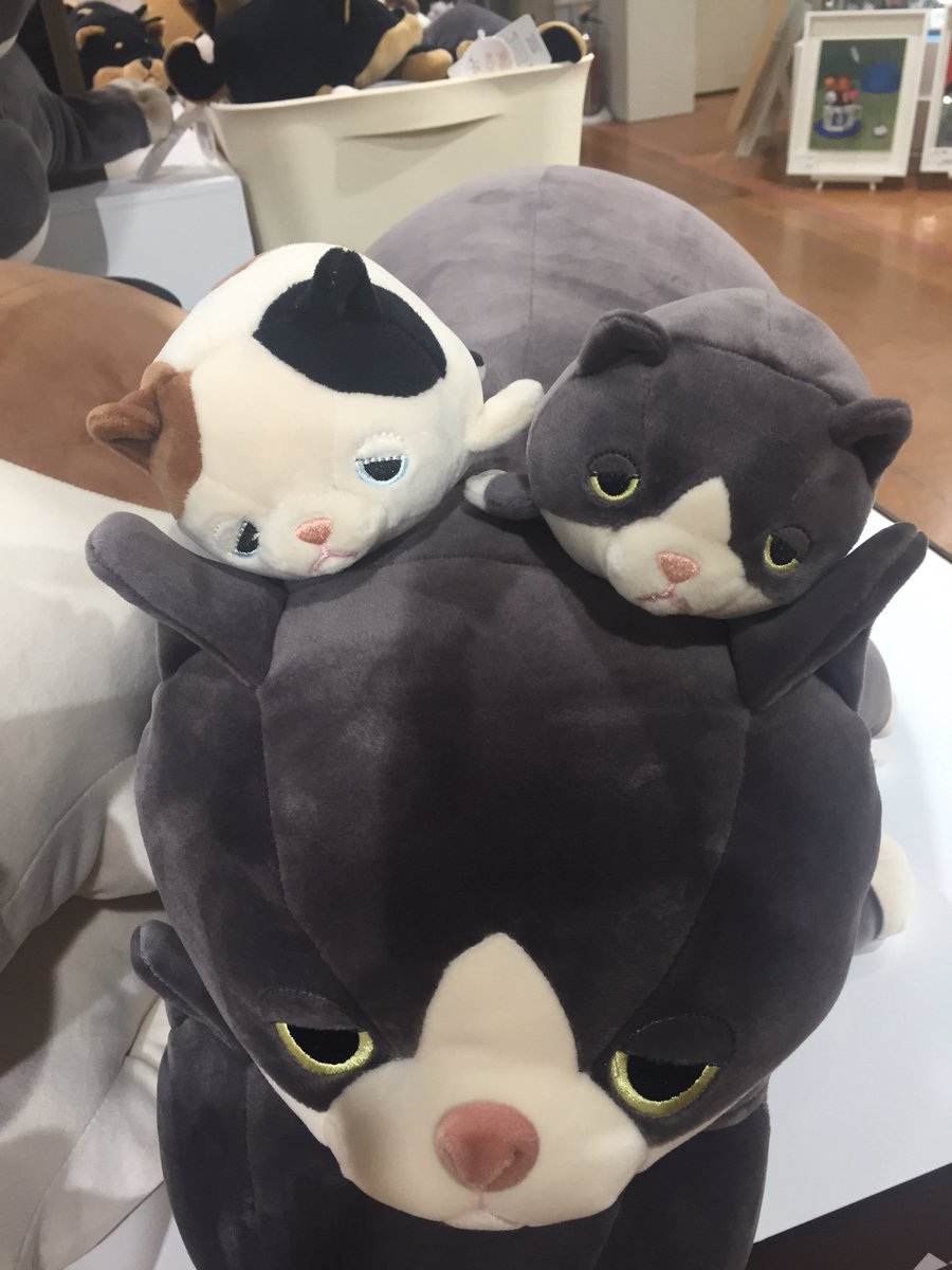 【ねむねこ】 サイバーステップ、クレーンゲームアプリ『トレバ』で「ねむネコ」の