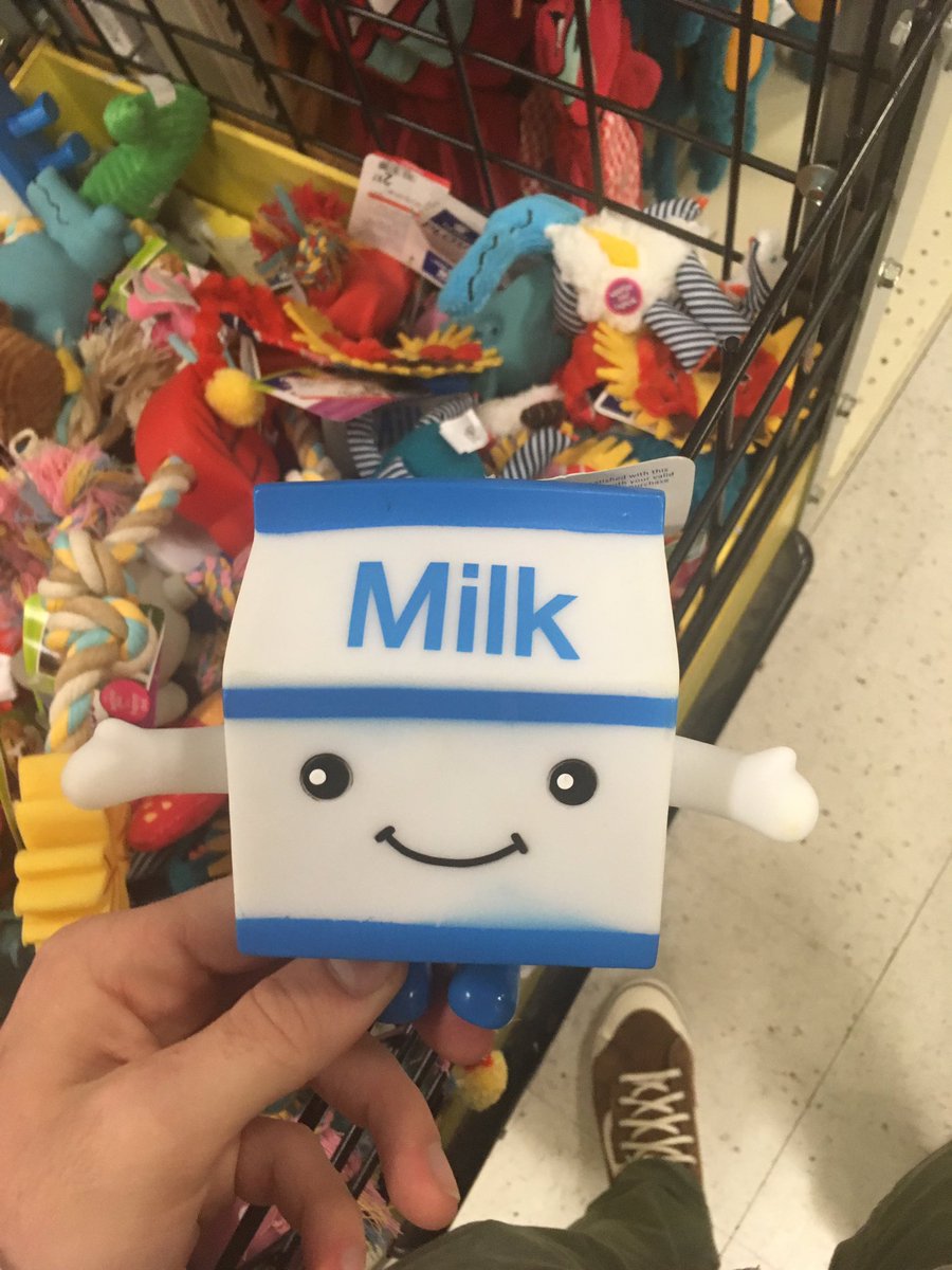 milk carton dog toy