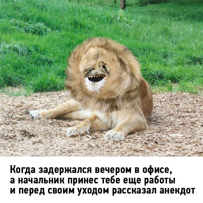 DWoXdK7W0AABBrp.jpg