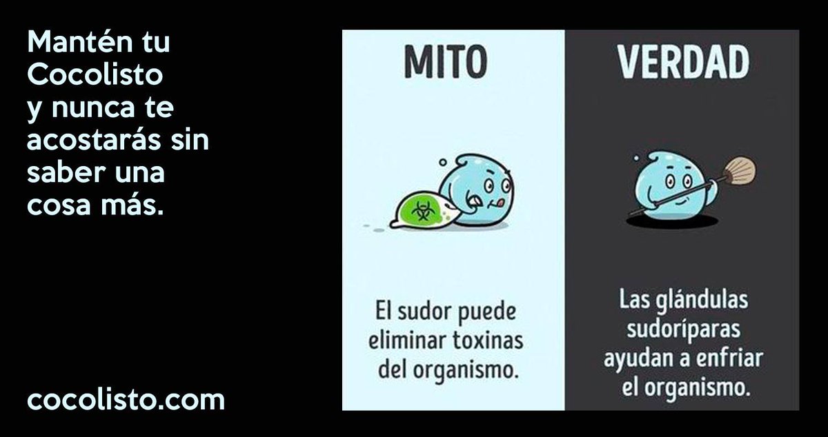 SoyCocolisto's tweet photo. Aquí tenemos otro #mitoverdad. ¿Estáis de acuerdo? https://t.co/iH6TtSqKDU