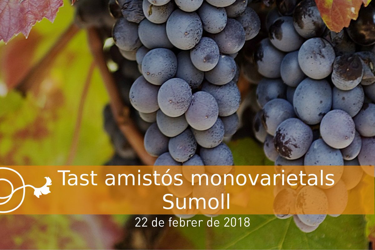 calferu's tweet photo. Tast amistós de #vinegre de #sumoll aquest vespre. 10 vins per conèixer una mica aquesta varietat que va quedar en l'oblit al #penedes #santsadurni https://t.co/YrjfhxJ0yf