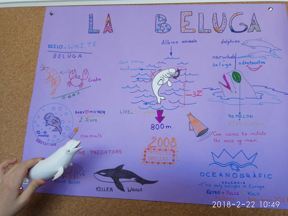 magutva's tweet photo. Talking about animals #clilscience #CLIL @ceipkantica https://t.co/pgZFtMPXlv