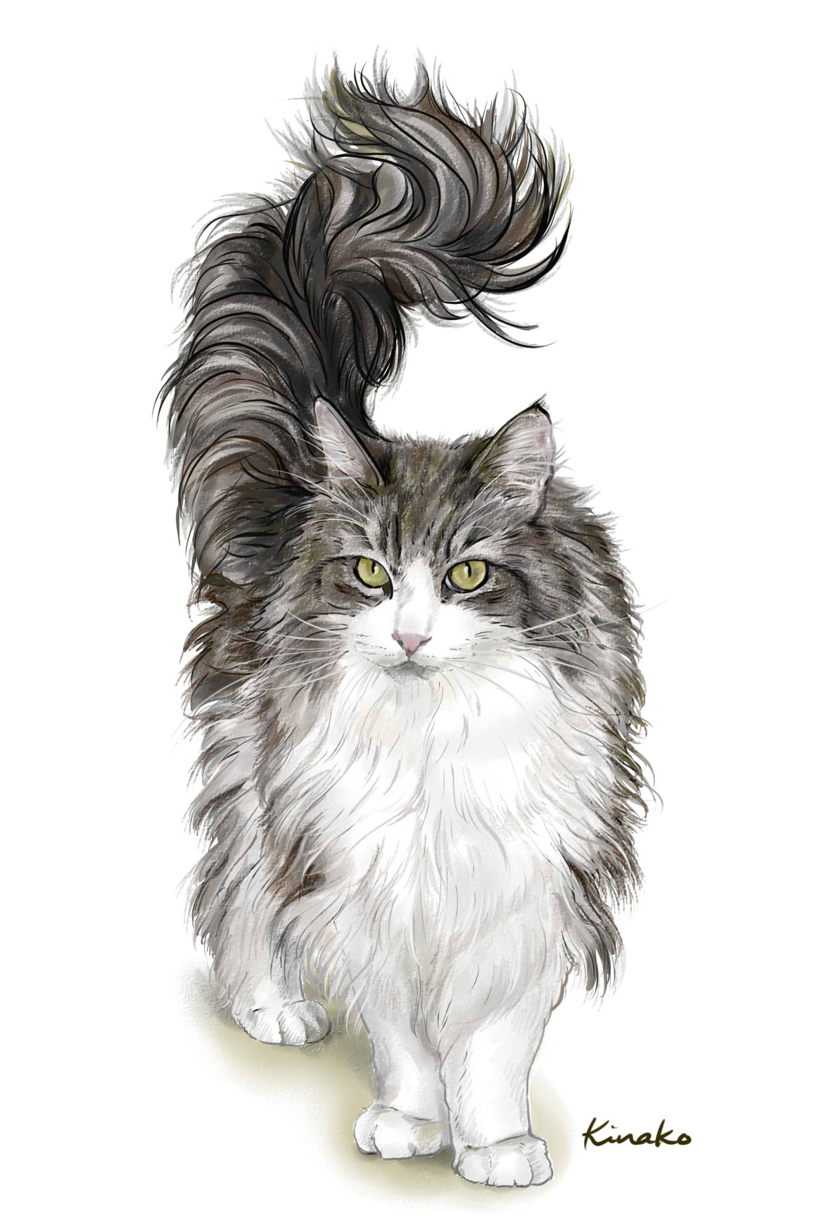きなこ 猫の絵を描いています この立ち姿があまりにもカッコいいので 描かせていただきました このきりっとした表情 このふんわりと立ち上がるうねるようなしっぽの美しさ 見事です ノルにゃんこさんのフクちゃんです 猫絵 Cat Drawing 猫