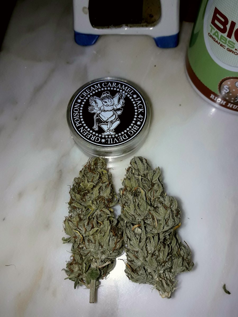 Apez140's tweet photo. @Sebaccf @desertisleseeds @GreenbudSeeds @INMAQ16 @AdrycManellson @HempCropEs @barbatesa @ChanelPalenzue1 @GrowAlchimia @TricomitoS @MavericksSeeds @Adler_Sinclair @ProXL_Spain @Biotabs @cannaworldsite @PhiloSeeds @adrigomgar @LuisTrastolillo @badilandia @RubioTetra @royalqueenseeds Hola Seba, mérito todo de las #Genéticas de @GreenbudSeeds
Fuertes, Agradecidas y, Generosas...Jajasss...siempre cumplen. Y no es peloteo, pregunta por ahí.
#LosMejoresHumos de #ChocoCandy2,
Alegría, Paz y Semis;-))) https://t.co/UVjEAYTqIf