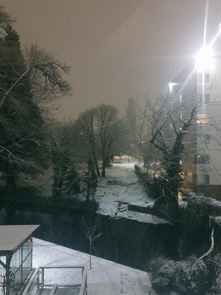 Just a light dusting over the Oregon DU house! ❄️ Stay warm out there! 🌨❄️