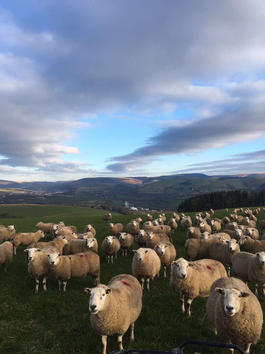 Great time at the NFU Conference. Full of people championing the brill job we farmers do producing food & caring for the environment 👌#NFU18