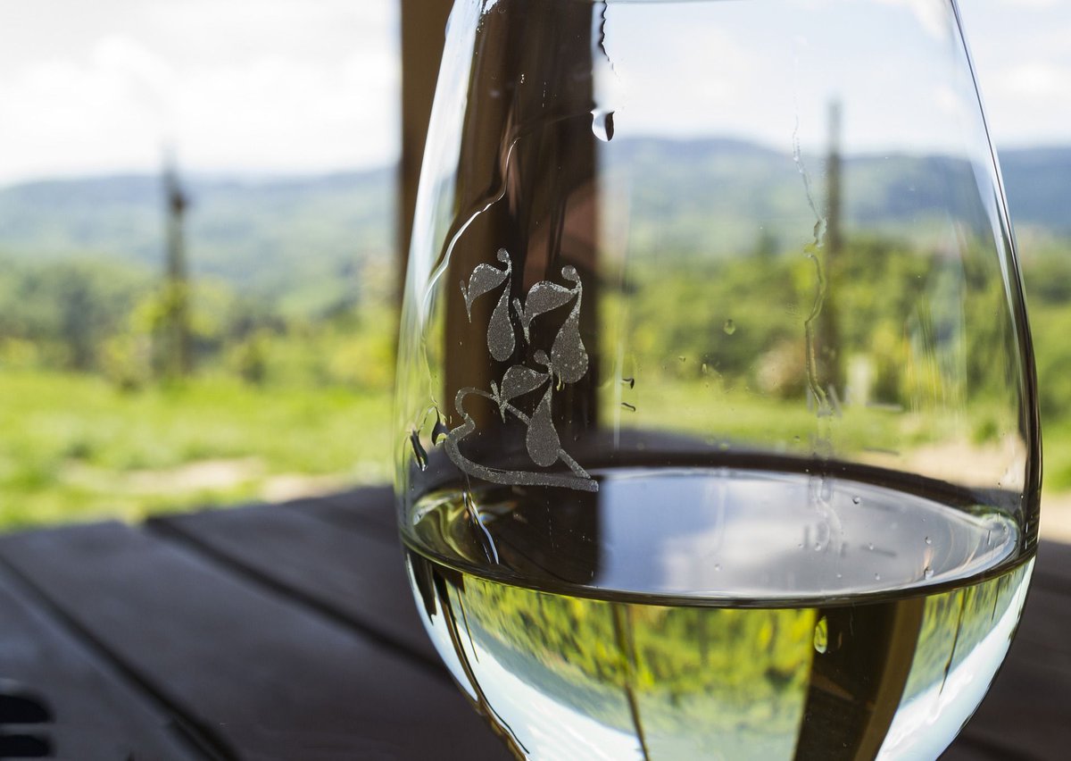 TanjaKleinPR's tweet photo. #WINEWITHAVIEW is definitely our favourite hashtag! #tanjakleinwine #tanjakleinpr #passionateaboutwine #wine #vino #vinho #wineoclock #justwine #lovewine #ilovewine #wein #wino #wineo #winegeek #winelife https://t.co/bG2wpPuxUn