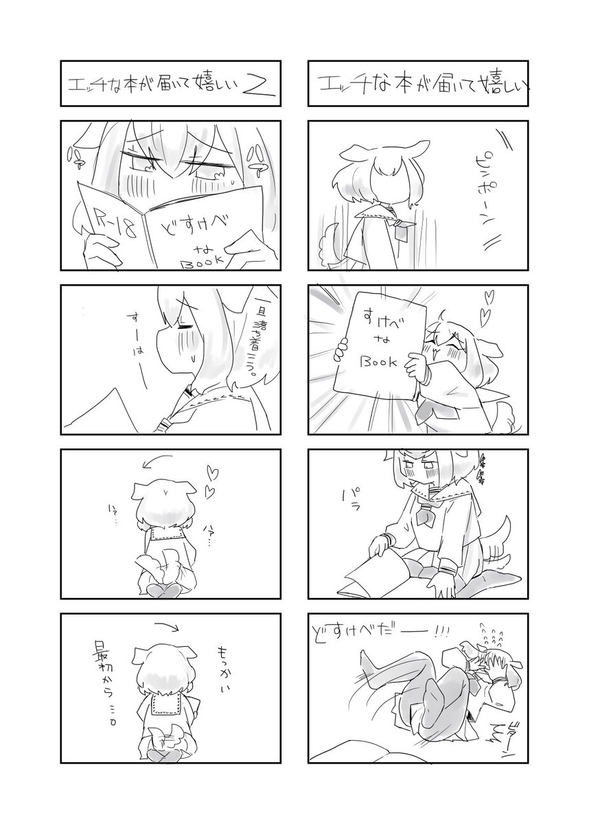 エッチな本が届いて嬉しい時の漫画 