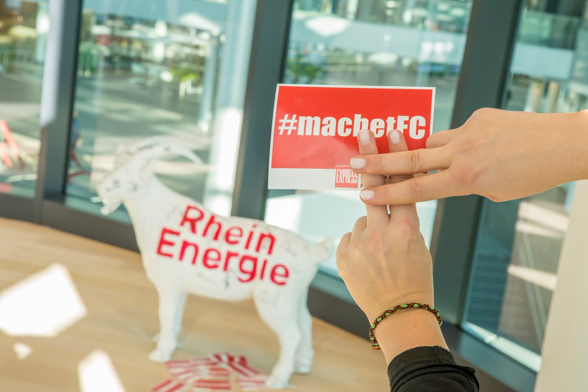RheinEnergie's tweet photo. Macht das Wunder wahr, Jungs!
#machetfc #dasimmerdabei #scheissvideobeweis #effzeh
@fckoeln @EXP_FC @express24 https://t.co/xRvjUXpejU