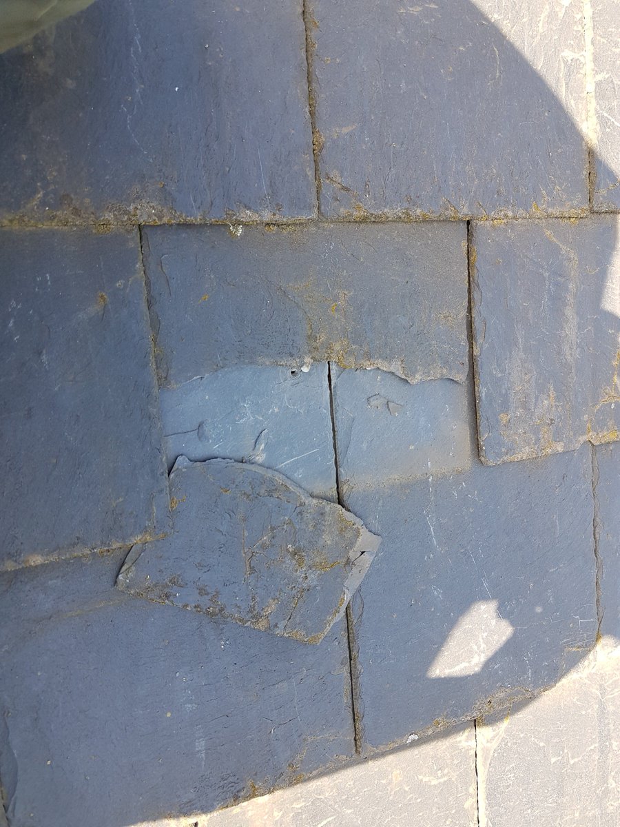 TMG_Ltd's tweet photo. With changing weather conditions and general weathering, tiles, coping stones and the pointing around them can move or become damaged and require replacement. TMG can assist and repair these matters before further damage is caused. https://t.co/nWW9ji43D2 https://t.co/nxnXZ3wYtB