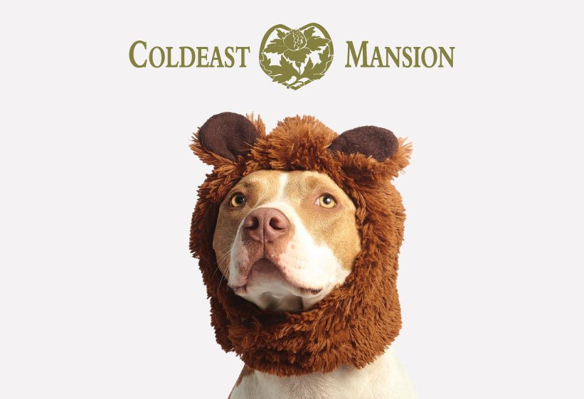 We are pet friendly. Explore the magic of Coldeast Mansion with your fury friends today. Book now!
coldeastmansion.com
#Southampton #ServicedApartments