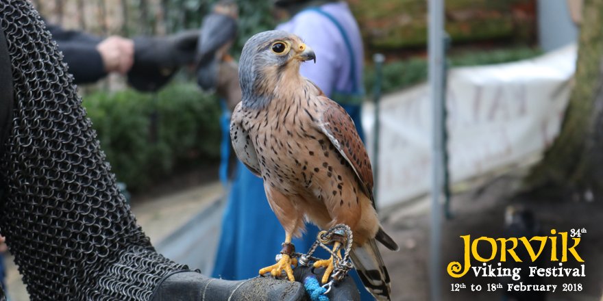 JorvikViking's tweet photo. What else could we do for #ThrowbackThorsDay but look back on the successful #JVF18 from last week! #JORVIKVikingFest https://t.co/VFNDU8nbMn https://t.co/W9e2FmOQQ0