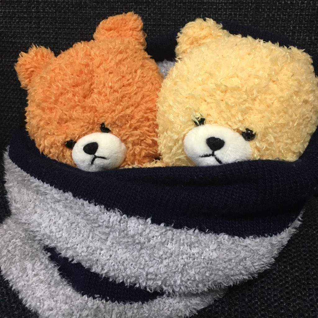 Uzivatel Macaron Na Twitteru さて 問題です どっちがルルでどっちがロロでしょうか ルルロロイェイ ルルロロ ルルロロのいる日常 Lululolo T Co Swznwdx4jn Twitter