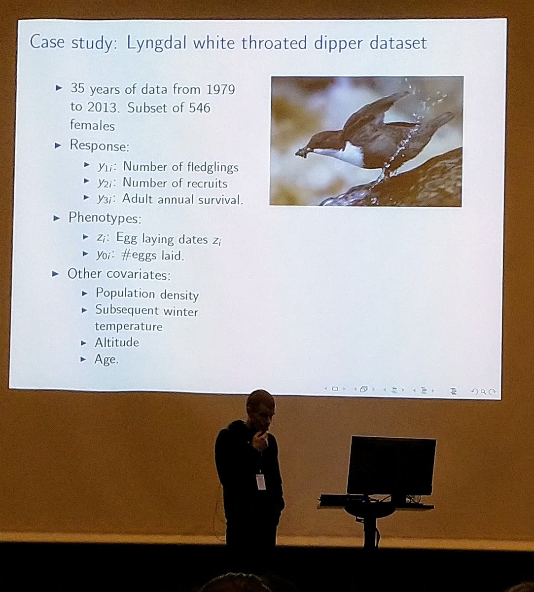 CBD at NTNU tweet media
