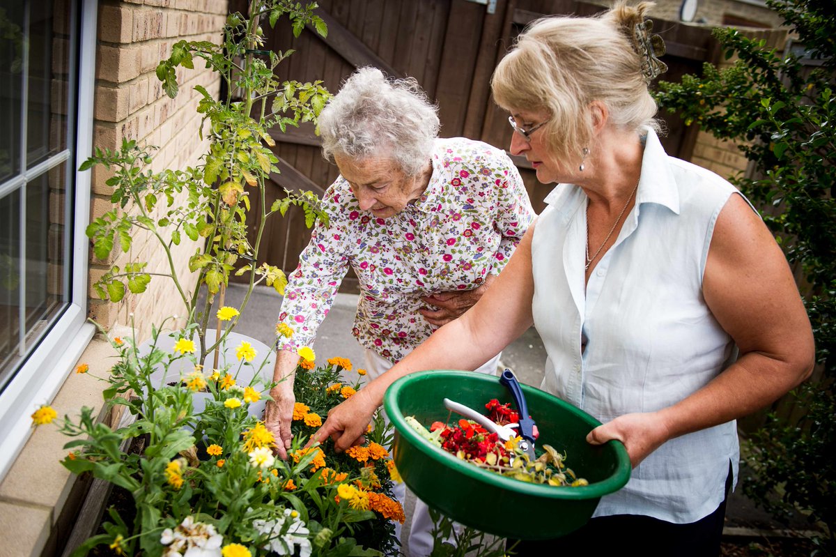 There are 850,000 people living with #dementia in the UK. Almost half say they no longer feel connected to their community. We enable older people to work together in a sociable group in the garden. Join us!
growingsupport.co.uk/get-involved/ #ThursdayThoughts #loneliness