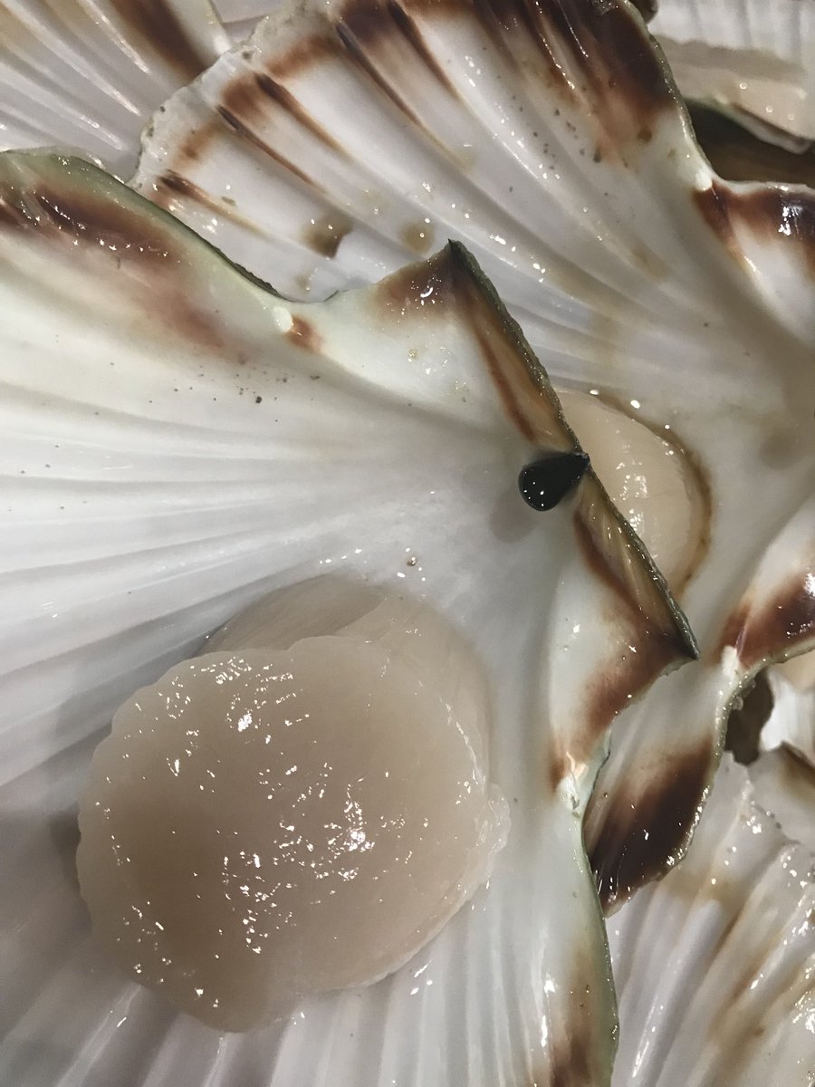 ChefJessBishop's tweet photo. #scallops #beautiful #fresh @GroveNarberth https://t.co/ZbOMc2jhJJ