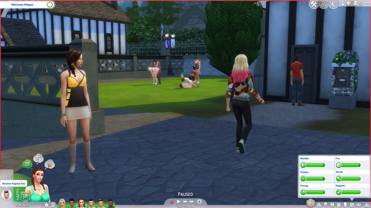 sims 4 woohoo for money mod