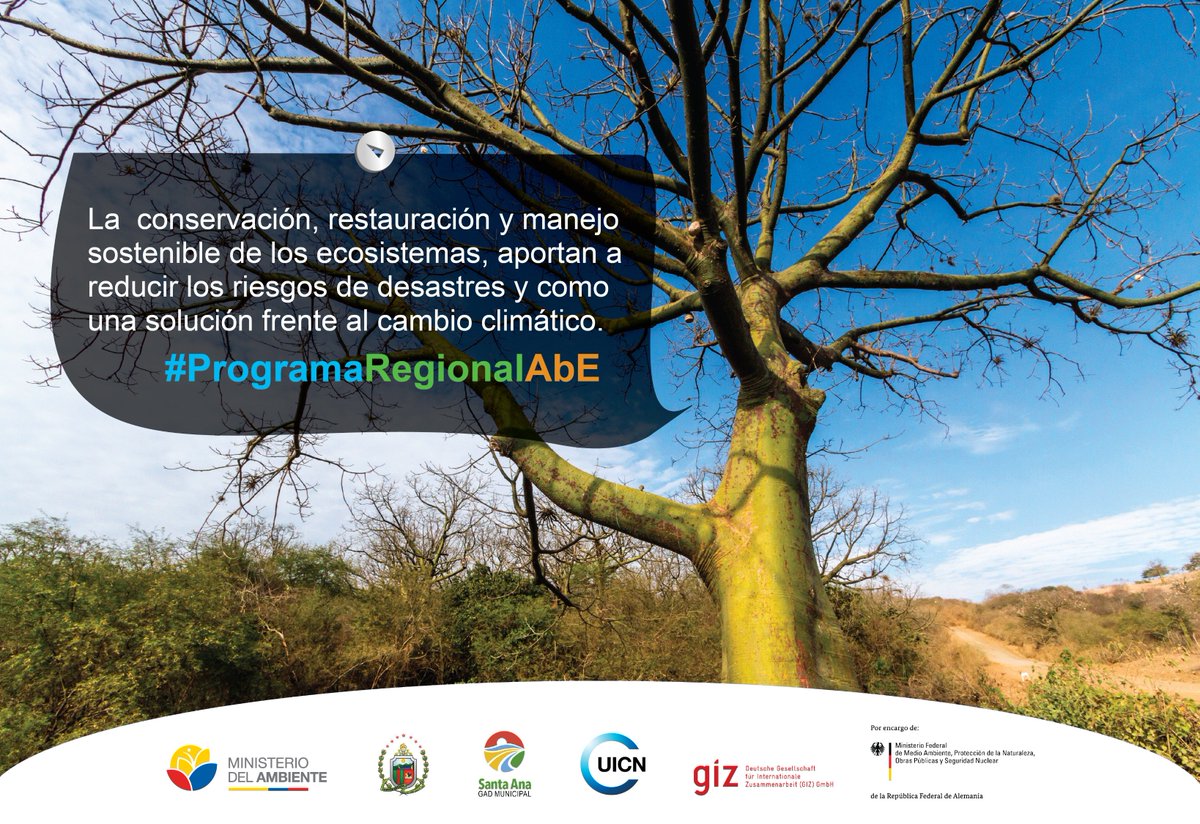 UICN_SUR's tweet photo. La conservación, restauración y manejo sostenible de los ecosistemas, aportan a reducir los riesgos de desastres como una solución frente al cambio climático. #ProgramaRegionalAbE. https://t.co/UPDqYSrORB