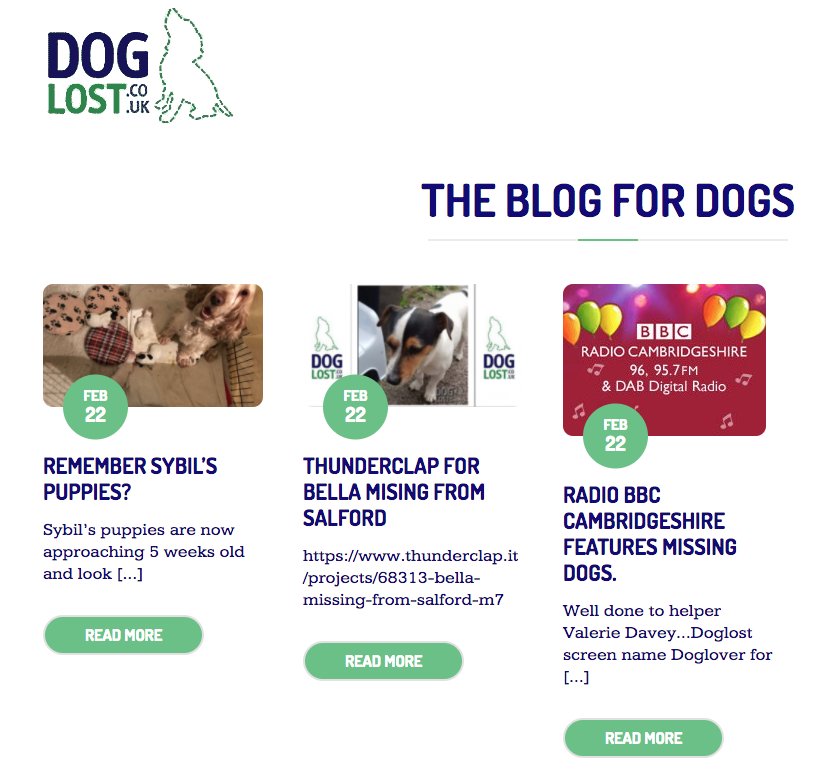 DogLostUK's tweet photo. The Blog for Dogs covers so many topics! Why not have a look around...
#BlogforDogs
https://t.co/4npsjnuqHl
@VetsGetScanning @SAMPAuk_ @pettheftaware https://t.co/FV4Z9QCplB