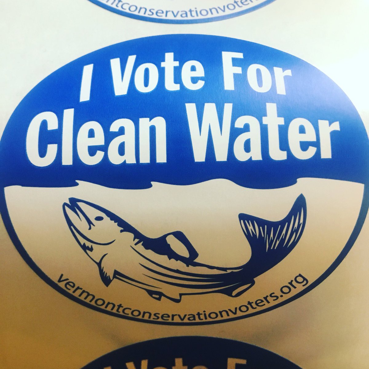 TNCvermont's tweet photo. “We have to protect our assets by investing in them” @VTTreasurer #vtcleanwaterday2018 #vt #cleanwater #lakechamplain #lakecarmi #forest2faucet https://t.co/ykewO12vjl