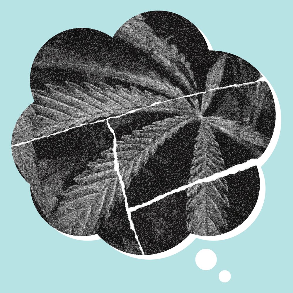 cannabisatwork's tweet photo. Need cannabis advice? Submit your questions to Van der Pop's Dear Vandy - an advice column for cannabis curiosities. Read the Vandy's latest advice on how to tell your family you smoke pot: https://t.co/ksQkxtdeS1 #vanderpop #tokyosmoke #cannabisadvice https://t.co/XQF5HEwIRR