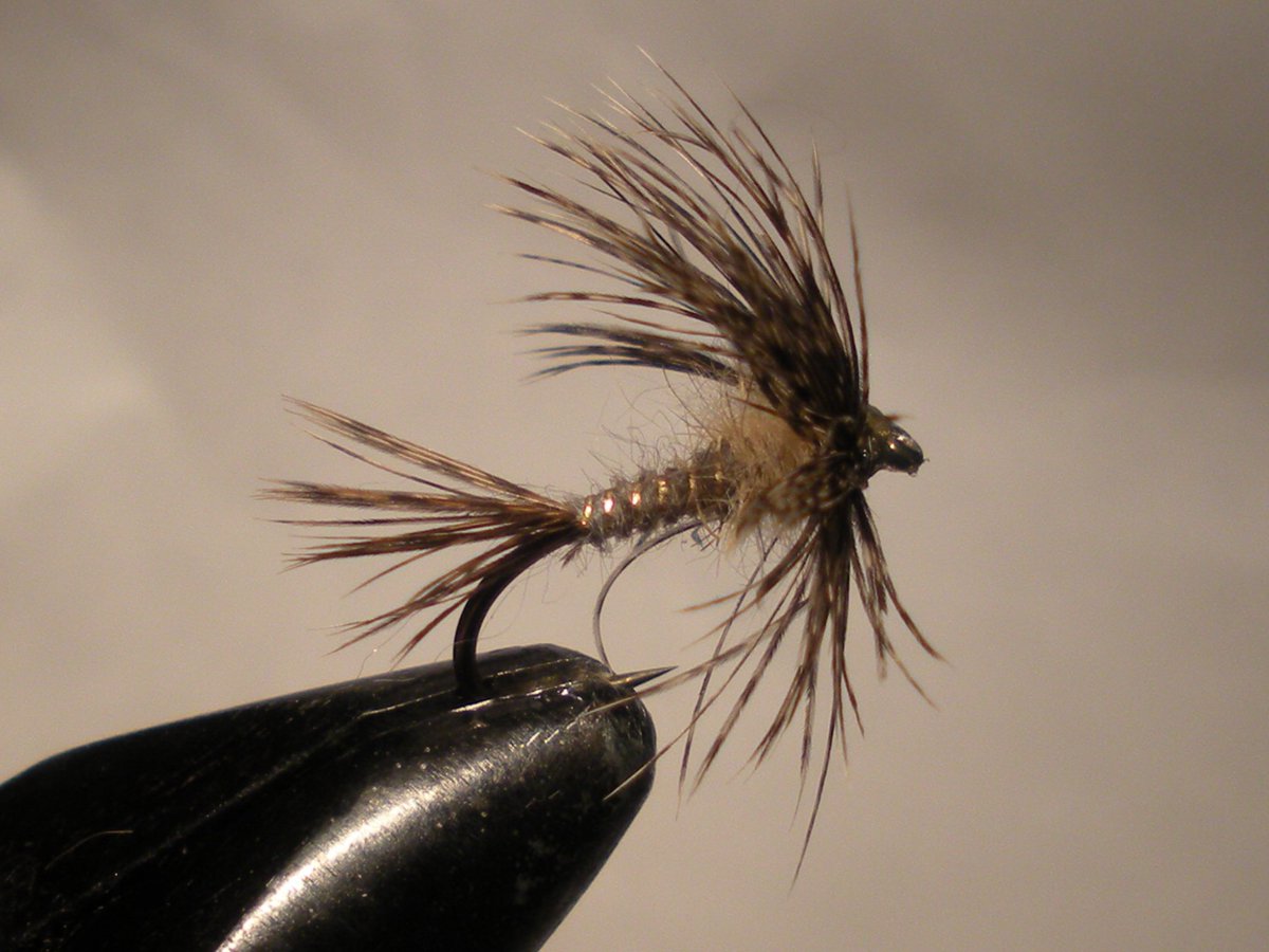 CT4Flyfishing's tweet photo. https://t.co/KgFayNuZrl